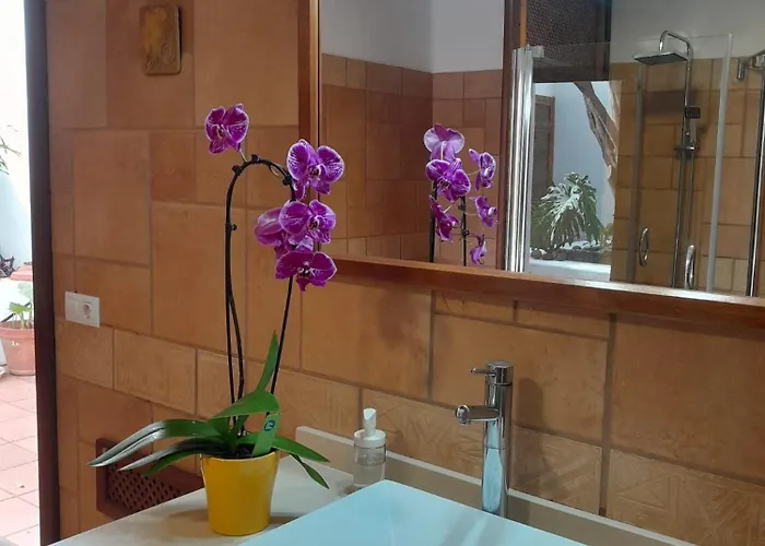 Casa Origenes * 해리아